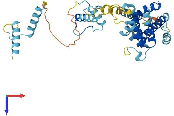 PRPF18 Protein (AA 1-342) (His tag)