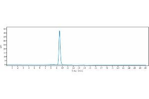 The purity of Anti-TNFSF13 / APRIL / CD256 Reference Antibody (BION-1301) is more than 95 % , determined by SEC-HPLC. (Rekombinanter TNFSF13 Antikörper)