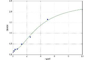 Hornerin (HRNR) ELISA Kit