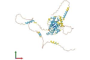 Protein Structure (PS) image for Dynein, Cytoplasmic 1, Light Intermediate Chain 2 (DYNC1LI2) (AA 1-492) protein (His tag) (ABIN7558051)