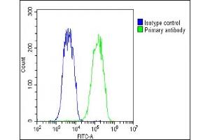 Flow Cytometry (FACS) image for anti-Voltage-Dependent Anion Channel 3 (VDAC3) (AA 156-183) antibody (ABIN1537893)