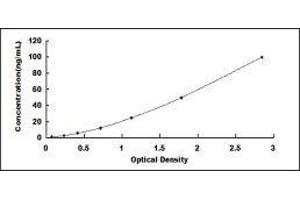 ELISA image for Basal Cell Adhesion Molecule (Lutheran Blood Group) (BCAM) ELISA Kit (ABIN417715)