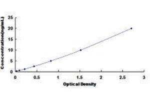 ELISA image for Cathepsin C (CTSC) ELISA Kit (ABIN415251)