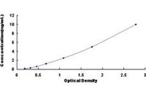 Typical standard curve (IL18R1 ELISA Kit)