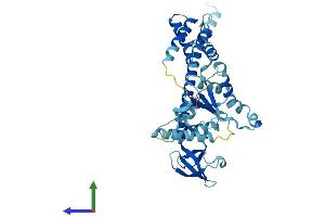 AlphaFold protein structure predicition of Human Recombinant PSMC6 Protein, UniprotID P62333