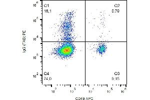 Flow cytometry analysis (surface staining) of human peripheral blood cells with anti-human IgG Fab fragment (4A11) PE. (Maus anti-Human IgG (Fab Region) Antikörper (PE))