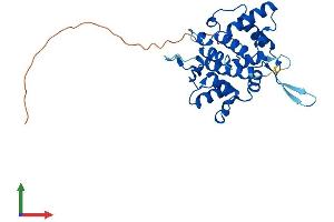 AlphaFold protein structure predicition of Human Recombinant GOLPH3L Protein, UniprotID Q9H4A5 (GOLPH3L Protein (AA 1-285) (His tag))