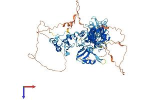 LNX1 Protein (AA 1-728) (His tag)