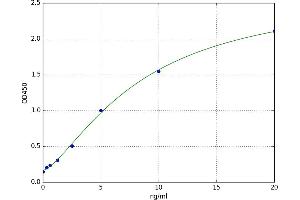 A typical standard curve (SORBS1 ELISA Kit)