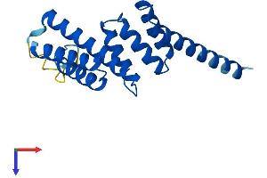 TTC9C Protein (AA 1-171) (His tag)