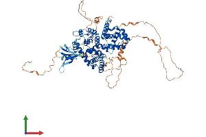 Protein Structure (PS) image for TBC1 Domain Family, Member 25 (TBC1D25) (AA 1-688) protein (His tag) (ABIN7544192)