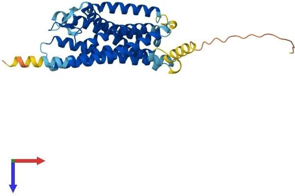 CysLTR1 Protein (AA 1-337) (His tag)