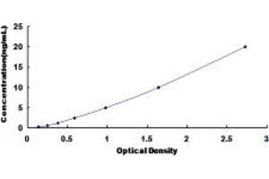 Typical standard curve (GRIN2C ELISA Kit)