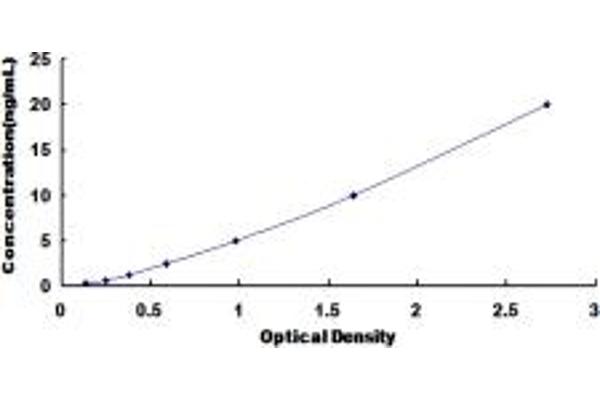 GRIN2C ELISA Kit