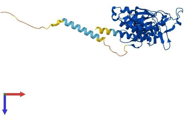 SGK196 Protein (AA 1-349) (His tag)