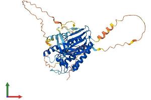 Protein Structure (PS) image for Inositol Hexakisphosphate Kinase 1 (IP6K1) (AA 1-441) protein (His tag) (ABIN7548556)