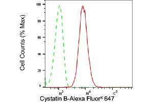 Flow cytometric analysis of Cystatin B expression in H9c2 cells using Cystatin B antibody (ABIN7798237), 1:2,000). (Rekombinanter CSTB Antikörper)