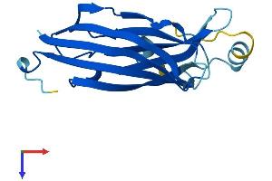 B9D2 Protein (AA 1-175) (His tag)