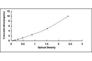 Annexin A2 ELISA Kit