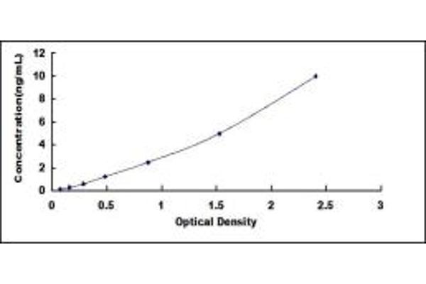 Annexin A2 ELISA Kit