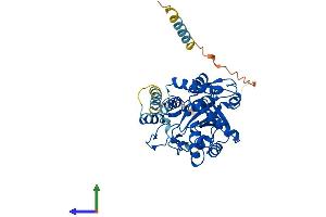AlphaFold protein structure predicition of Mouse Recombinant St8sia6 Protein, UniprotID Q8K4T1