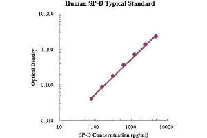 ELISA image for Surfactant Protein D (SFTPD) ELISA Kit (ABIN3198478)
