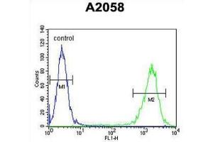 Flow Cytometry (FACS) image for anti-Parathymosin (PTMS) antibody (ABIN3004110)