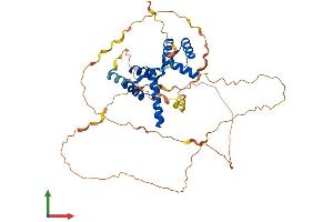 AlphaFold protein structure predicition of Human Recombinant DUX4L4 Protein, UniprotID P0CJ87