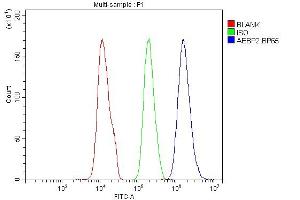 Flow Cytometry analysis of SiHa cells using anti-AEBP2 antibody (ABIN4886435). (AEBP2 Antikörper  (AA 424-517))