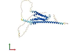 Protein Structure (PS) image for F-Box Protein 28 (FBXO28) (AA 1-368) protein (His tag) (ABIN7547695)
