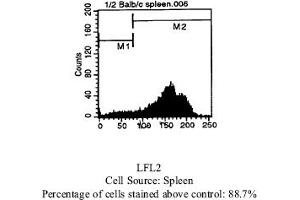 Rat anti CD44 (HCAM) (Ly-24, Pgp-1) IM7. (CD44 Antikörper  (Biotin))