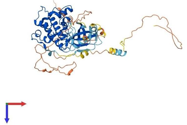 CAMKK1 Protein (AA 1-505) (His tag)