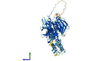 AlphaFold protein structure predicition of Human Recombinant KLHL25 Protein, UniprotID Q9H0H3 (KLHL25 Protein (AA 1-589) (His tag))