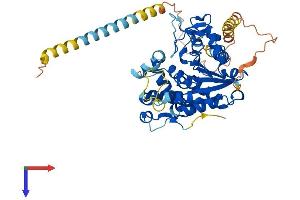 CHST3 Protein (AA 1-472) (His tag)