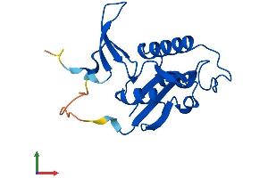Protein Structure (PS) image for Peptidylprolyl Cis/trans Isomerase, NIMA-Interacting 1 (PIN1) (AA 1-165) protein (His tag) (ABIN7565131)