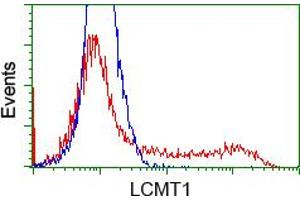 HEK293T cells transfected with either RC200018 overexpress plasmid (Red) or empty vector control plasmid (Blue) were immunostained by anti-LCMT1 antibody (ABIN2454741), and then analyzed by flow cytometry. (LCMT1 Antikörper)