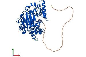 Protein Structure (PS) image for Jumonji Domain Containing 6 (JMJD6) (AA 1-403) protein (His tag) (ABIN7565053)