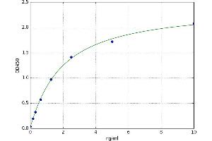 Histone Deacetylase 2 (HDAC2) ELISA Kit