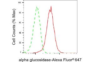 Flow cytometric analysis of alpha glucosidase expression in HepG2 cells using alpha glucosidase antibody (ABIN7797585), 1:2,000). (Rekombinanter AGLU Antikörper)