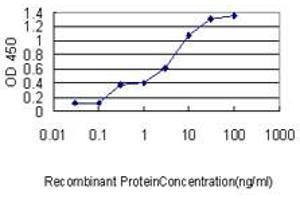 ELISA image for anti-Mitochondrial Ribosomal Protein L12 (MRPL12) (AA 1-199) antibody (ABIN598585) (MRPL12 Antikörper  (AA 1-199))