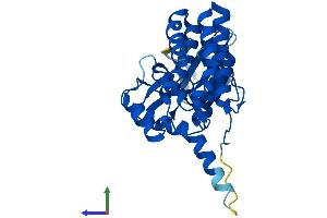 Protein Structure (PS) image for Fructosamine 3 Kinase Related Protein (FN3KRP) (AA 1-309) protein (His tag) (ABIN7559494)