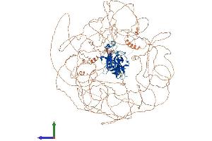 Protein Structure (PS) image for Nuclear Factor of Activated T-Cells 5, Tonicity-Responsive (NFAT5) (AA 1-1531) protein (His tag) (ABIN7554736)