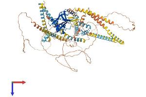 SUN1 Protein (AA 1-913) (His tag)