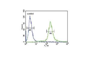 Flow Cytometry (FACS) image for anti-Adenylate Cyclase Activating Polypeptide 1 (Pituitary) (ADCYAP1) (AA 148-176), (C-Term) antibody (ABIN651855)