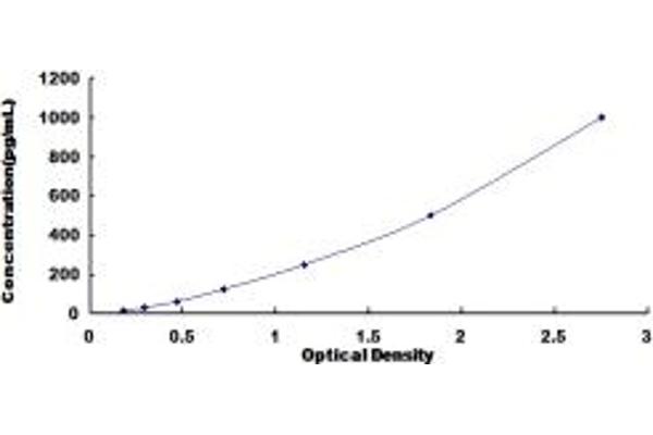 LTB ELISA Kit