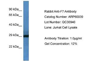 WB Suggested Anti-F7  Antibody Titration: 0.