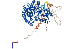 CDKAL1 Protein (AA 1-578) (His tag)