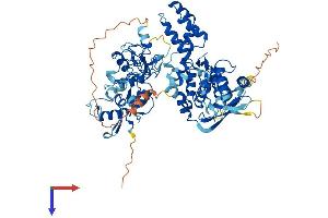 G2E3 Protein (AA 1-716) (His tag)