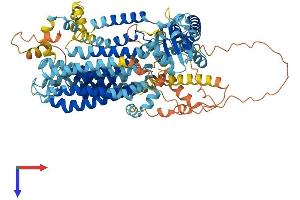 AlphaFold protein structure predicition of Human Recombinant TMEM63B Protein, UniprotID Q5T3F8 (TMEM63B Protein (AA 1-832) (His tag))