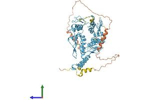 Protein Structure (PS) image for Zinc Finger Protein 14 Homolog (ZFP14) (AA 1-533) protein (His tag) (ABIN7545232)